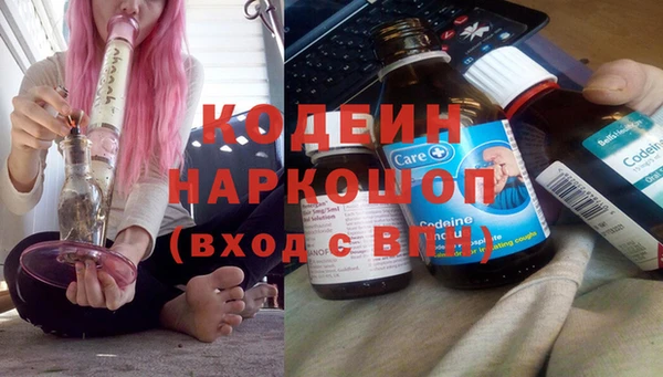 apvp Алзамай