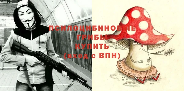 apvp Алзамай