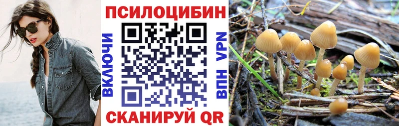 гидра как зайти  Кольчугино  Псилоцибиновые грибы MAGIC MUSHROOMS 